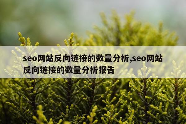 seo网站反向链接的数量分析,seo网站反向链接的数量分析报告