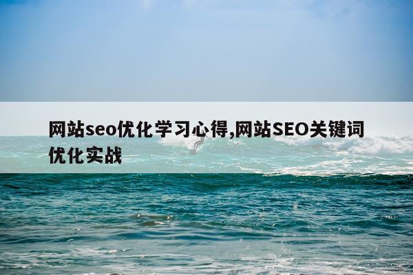 网站seo优化学习心得,网站SEO关键词优化实战