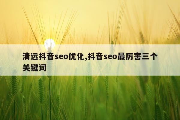 清远抖音seo优化,抖音seo最厉害三个关键词