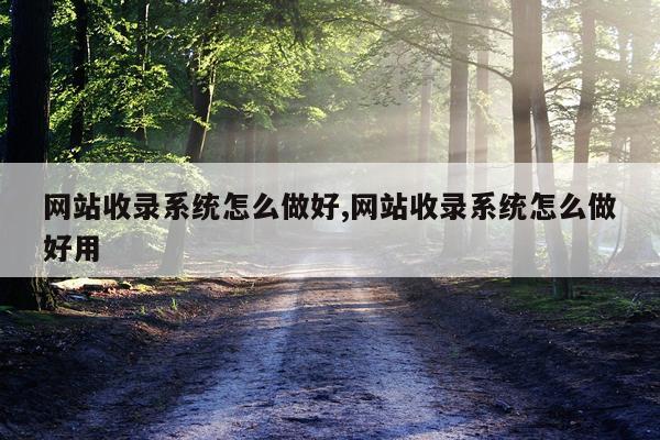 网站收录系统怎么做好,网站收录系统怎么做好用