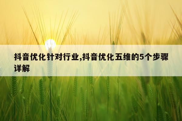 抖音优化针对行业,抖音优化五维的5个步骤详解
