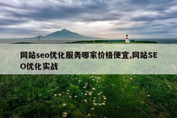 网站seo优化服务哪家价格便宜,网站SEO优化实战