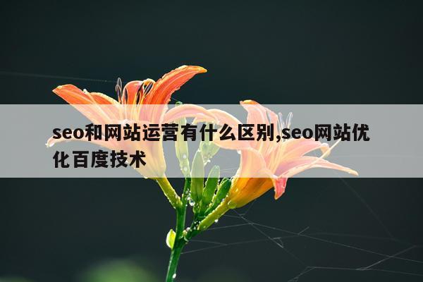 seo和网站运营有什么区别,seo网站优化百度技术