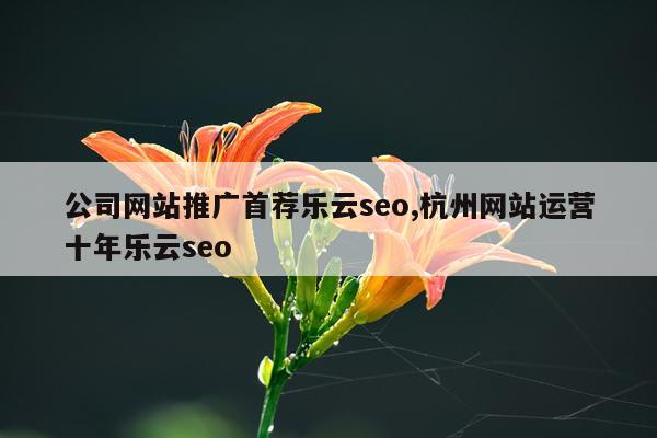 公司网站推广首荐乐云seo,杭州网站运营十年乐云seo