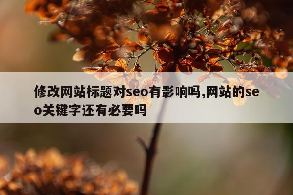 修改网站标题对seo有影响吗,网站的seo关键字还有必要吗