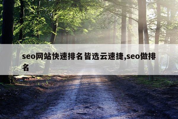 seo网站快速排名皆选云速捷,seo做排名