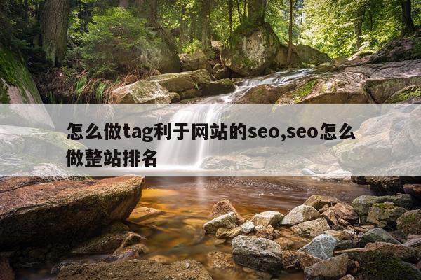 怎么做tag利于网站的seo,seo怎么做整站排名