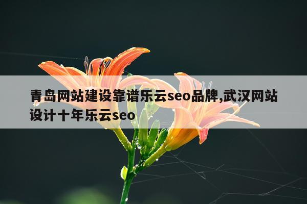 青岛网站建设靠谱乐云seo品牌,武汉网站设计十年乐云seo