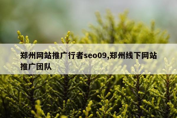 郑州网站推广行者seo09,郑州线下网站推广团队