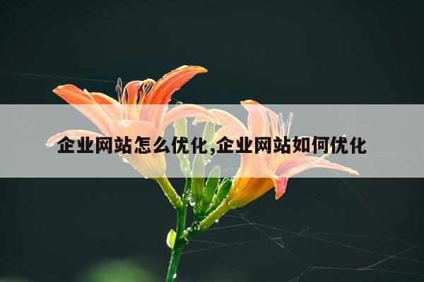企业网站怎么优化,企业网站如何优化