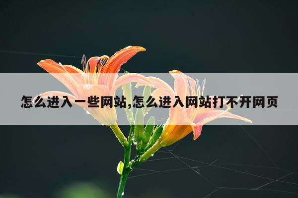 怎么进入一些网站,怎么进入网站打不开网页