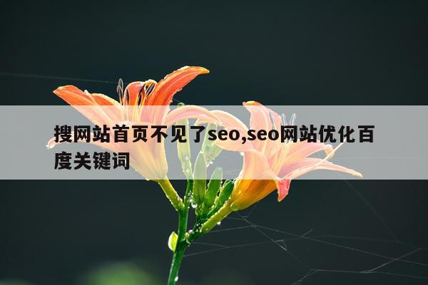 搜网站首页不见了seo,seo网站优化百度关键词