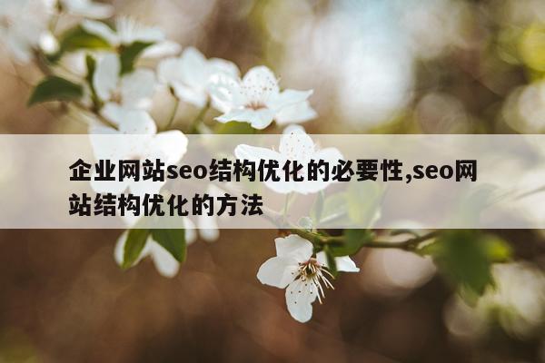 企业网站seo结构优化的必要性,seo网站结构优化的方法