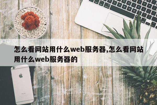 怎么看网站用什么web服务器,怎么看网站用什么web服务器的