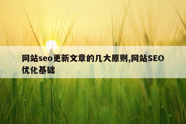 网站seo更新文章的几大原则,网站SEO优化基础