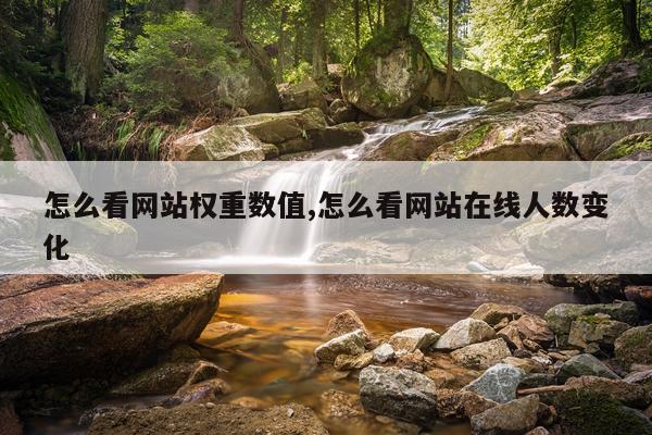 怎么看网站权重数值,怎么看网站在线人数变化