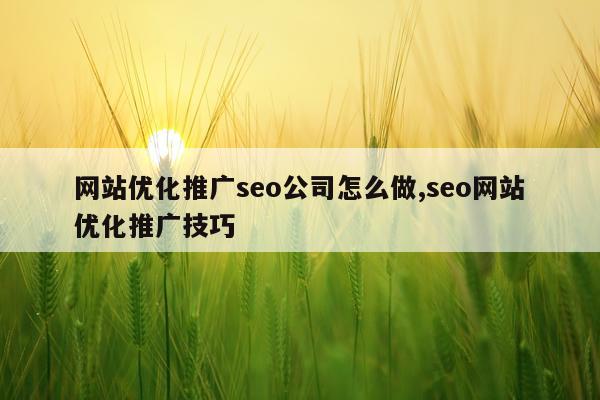 网站优化推广seo公司怎么做,seo网站优化推广技巧