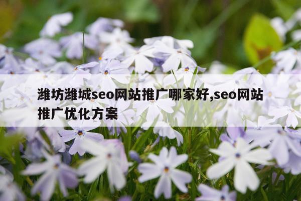 潍坊潍城seo网站推广哪家好,seo网站推广优化方案