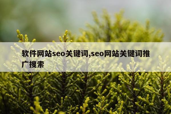 软件网站seo关键词,seo网站关键词推广搜索