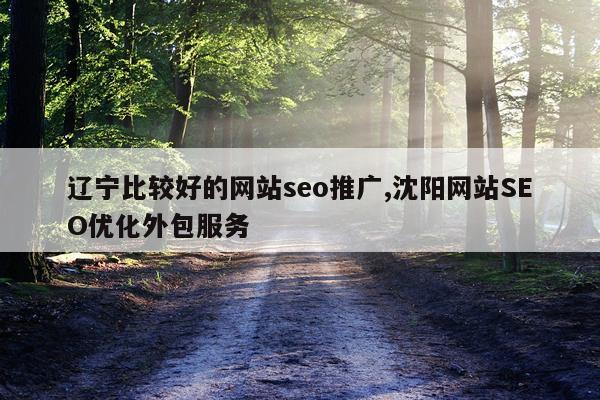 辽宁比较好的网站seo推广,沈阳网站SEO优化外包服务