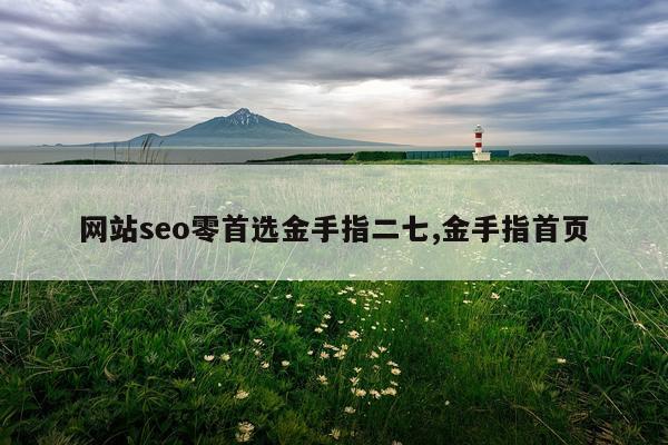 网站seo零首选金手指二七,金手指首页