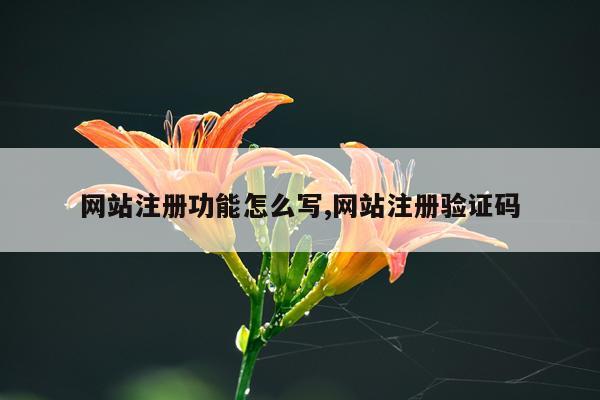 网站注册功能怎么写,网站注册验证码