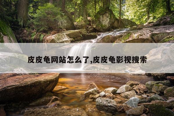 皮皮龟网站怎么了,皮皮龟影视搜索