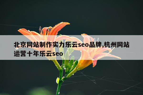 北京网站制作实力乐云seo品牌,杭州网站运营十年乐云seo