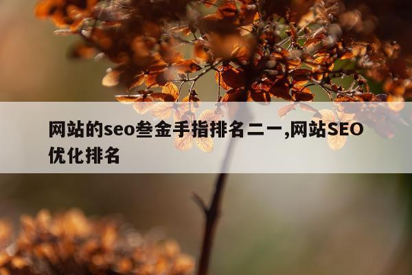 网站的seo叁金手指排名二一,网站SEO优化排名