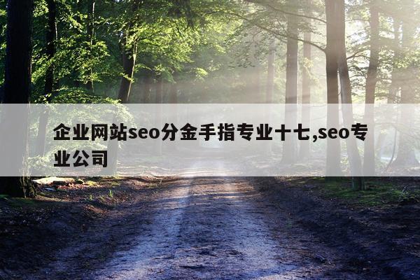 企业网站seo分金手指专业十七,seo专业公司