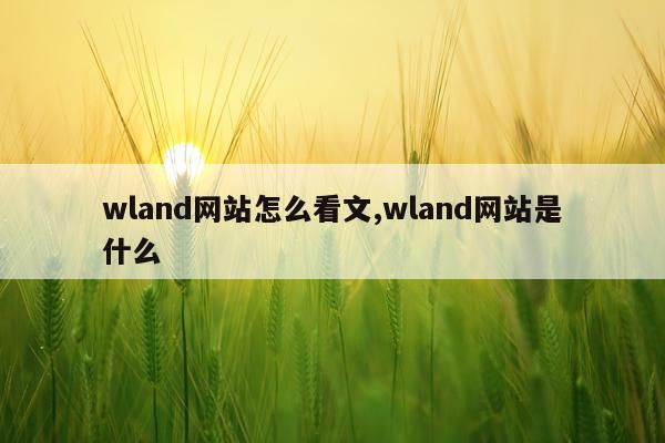 wland网站怎么看文,wland网站是什么