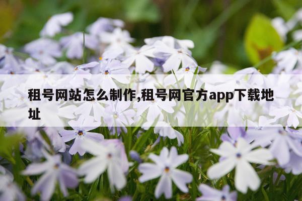 租号网站怎么制作,租号网官方app下载地址