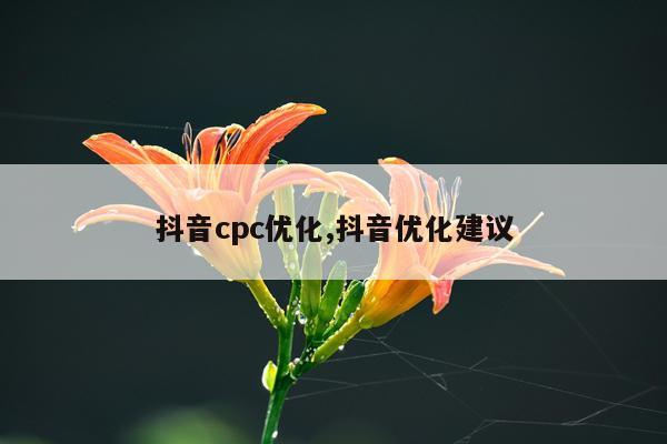 抖音cpc优化,抖音优化建议