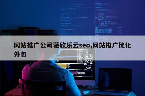 网站推广公司薇欣乐云seo,网站推广优化外包