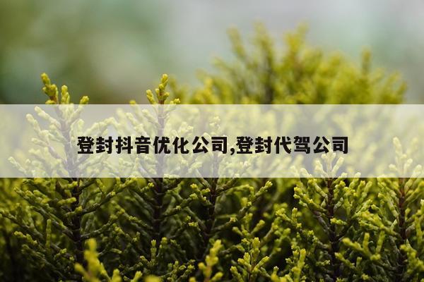 登封抖音优化公司,登封代驾公司