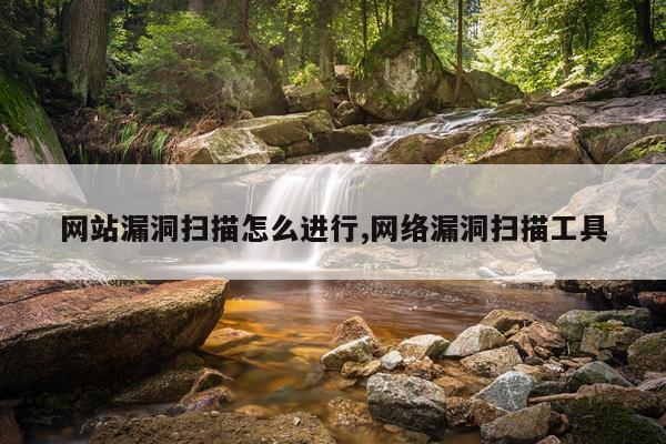 网站漏洞扫描怎么进行,网络漏洞扫描工具