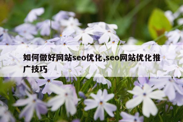 如何做好网站seo优化,seo网站优化推广技巧