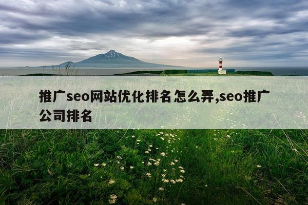 推广seo网站优化排名怎么弄,seo推广公司排名