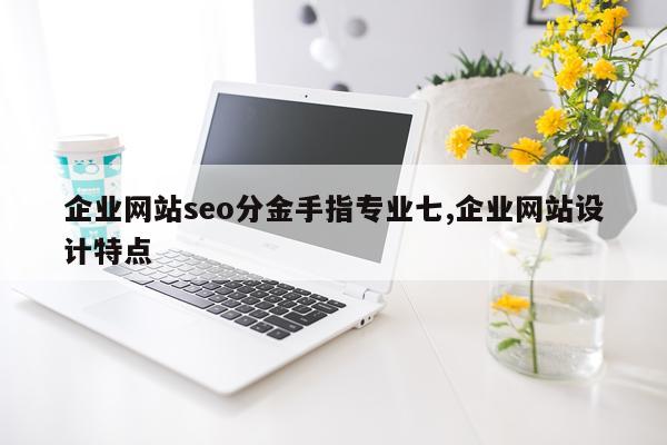 企业网站seo分金手指专业七,企业网站设计特点