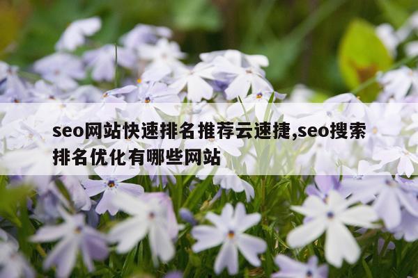 seo网站快速排名推荐云速捷,seo搜索排名优化有哪些网站
