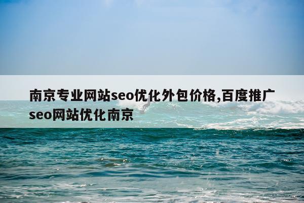 南京专业网站seo优化外包价格,百度推广seo网站优化南京