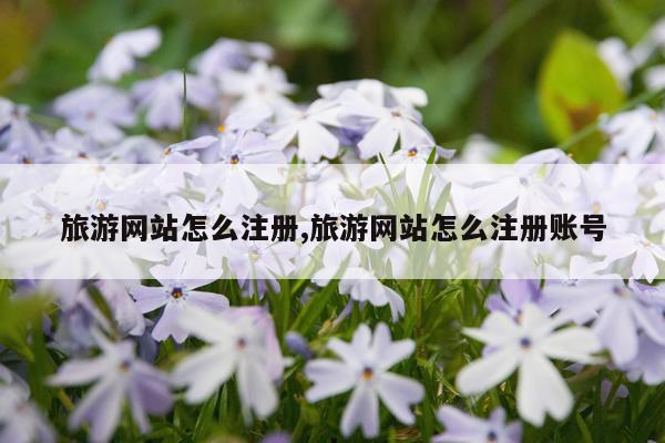 旅游网站怎么注册,旅游网站怎么注册账号