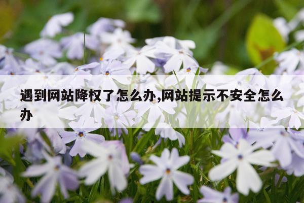 遇到网站降权了怎么办,网站提示不安全怎么办