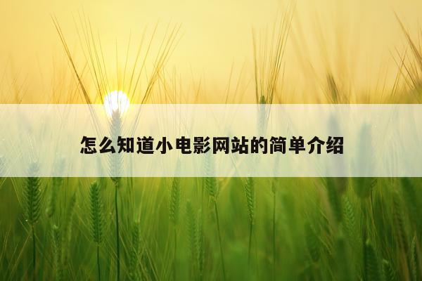 怎么知道小电影网站的简单介绍