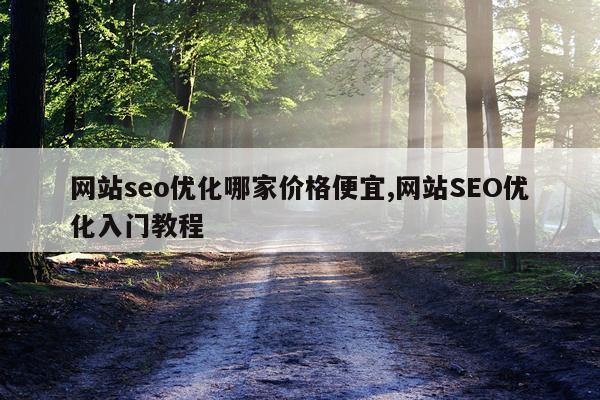 网站seo优化哪家价格便宜,网站SEO优化入门教程
