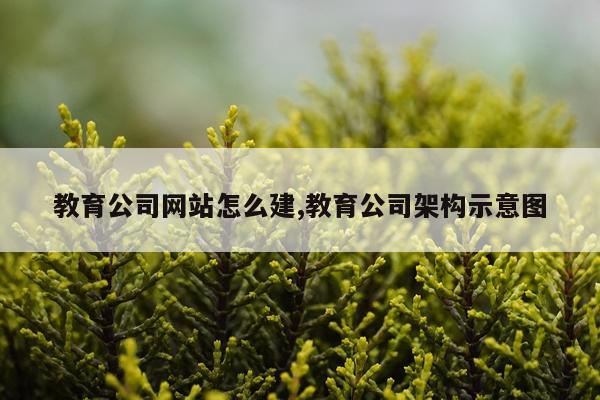 教育公司网站怎么建,教育公司架构示意图