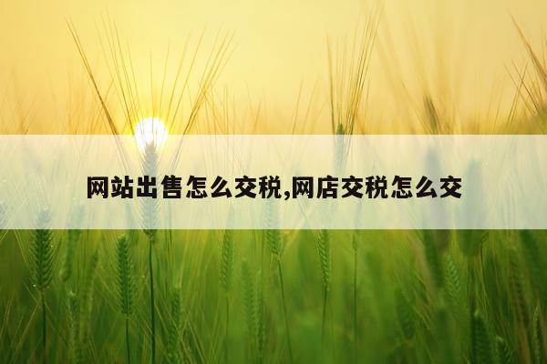 网站出售怎么交税,网店交税怎么交