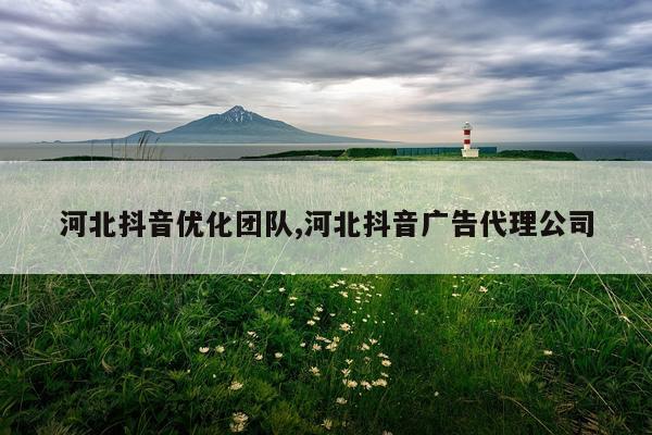 河北抖音优化团队,河北抖音广告代理公司