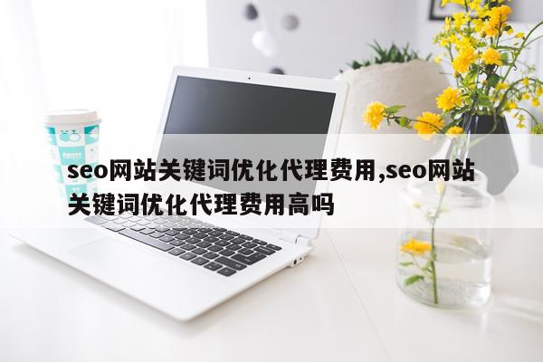 seo网站关键词优化代理费用,seo网站关键词优化代理费用高吗