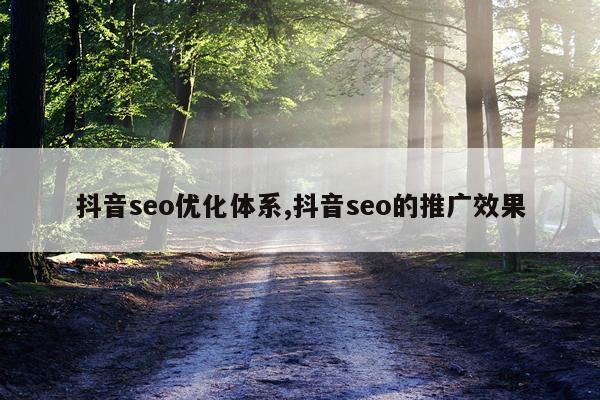 抖音seo优化体系,抖音seo的推广效果